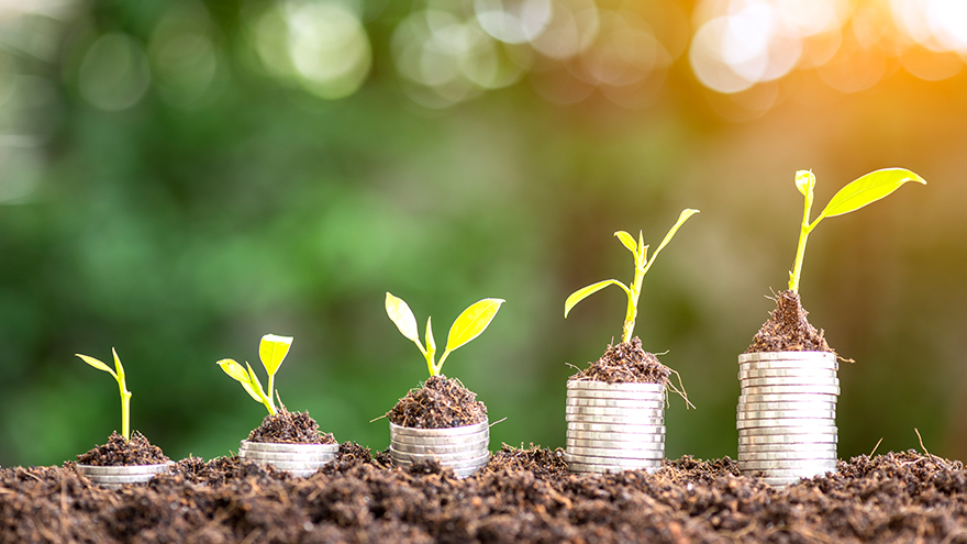 Five plants are growing on top of coins; image used for HSBC Malaysia How to Spend Money Wisely article