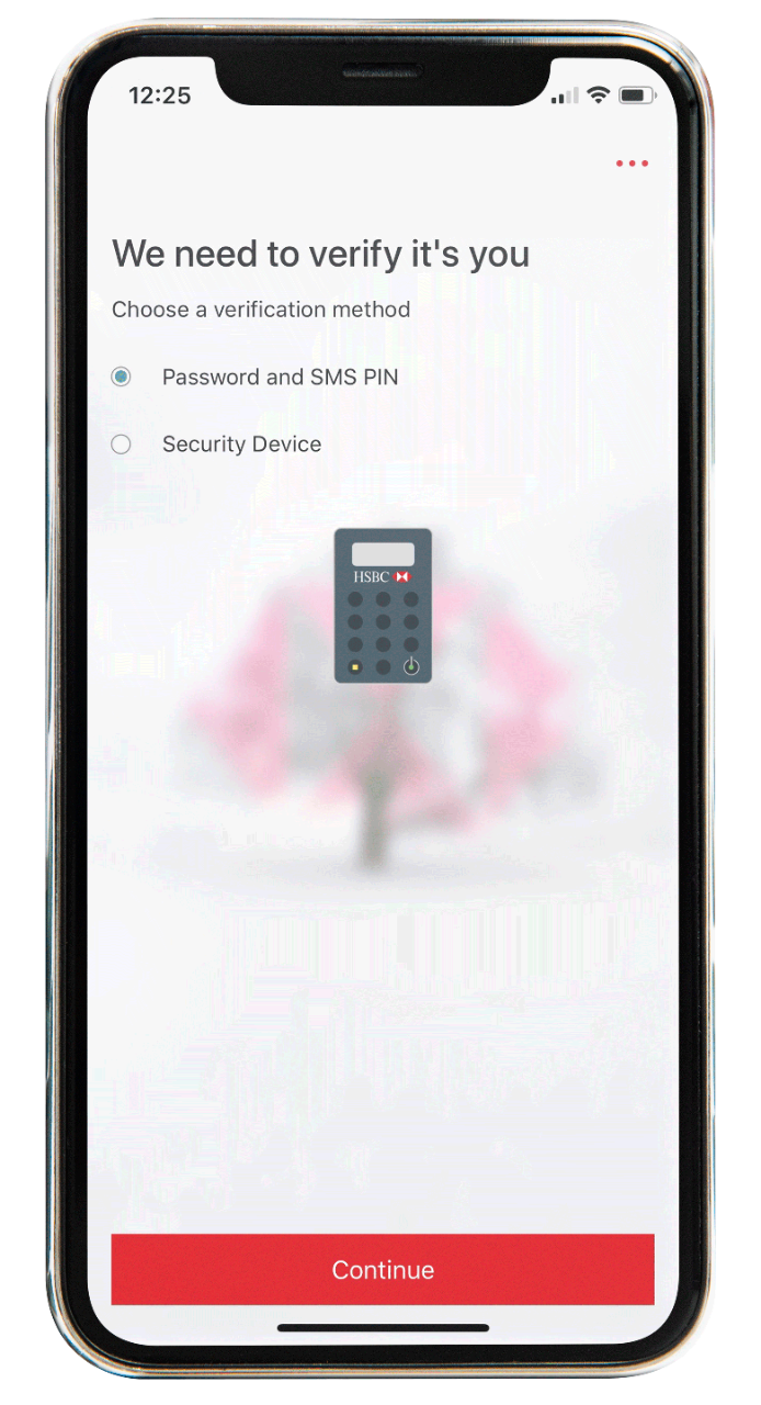 Verification with password and SMS PIN screen